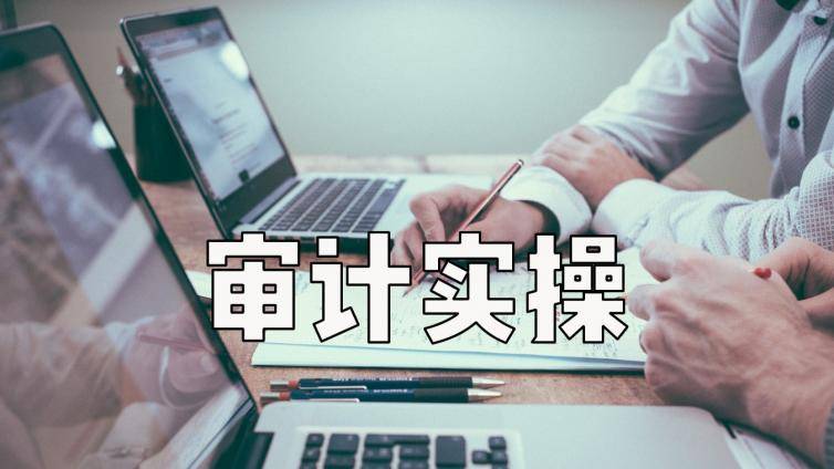 【今晚直播】快速入门审计实操「货币资金循环」