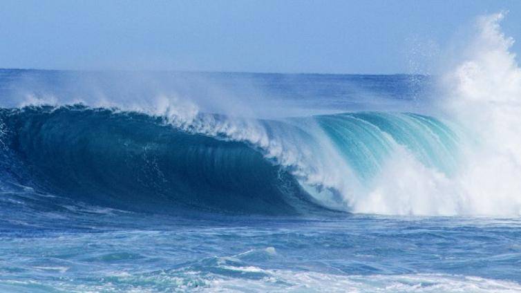 21考研日历：16个必须把握的关键节点，小白必看！！！