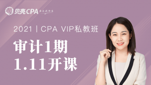 私教班-1期-审计｜丽丽老师