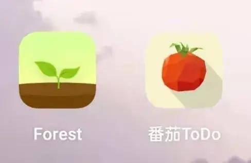 BT学院法考辅导班