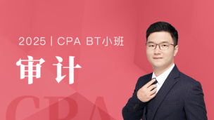 审计-BT小班
