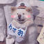 Joy老师
